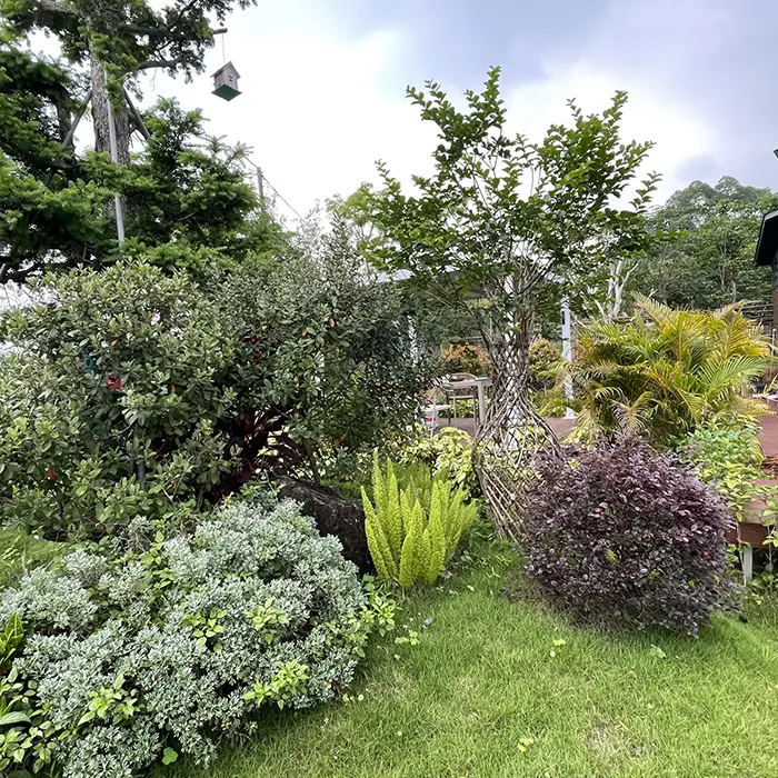 Hvordan skaper Crape Myrtle et fantastisk landskap med lite vedlikehold?